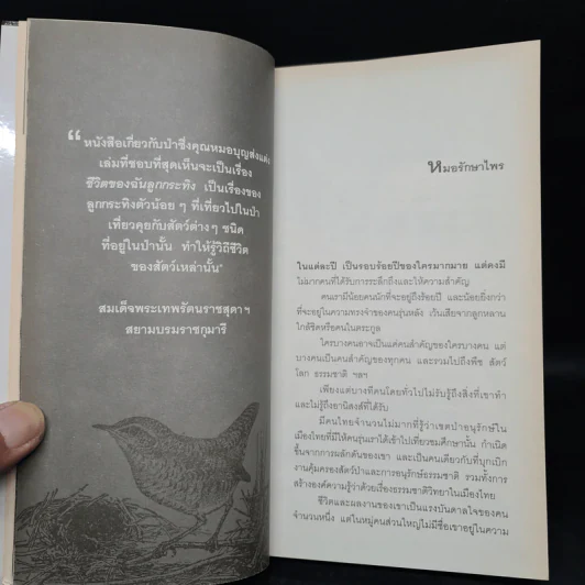 นักรักษ์ไพร - วีระศักดิ์ จันทร์ส่งแสง รูปที่ 6