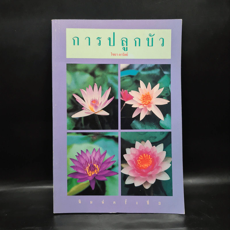 การปลูกบัว - ไชยา-ลาวัลย์ รูปที่ 1