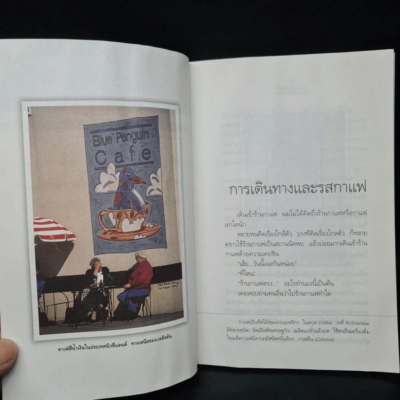 อารมณ์กาแฟ - ภาณุ มณีวัฒนกุล รูปที่ 7