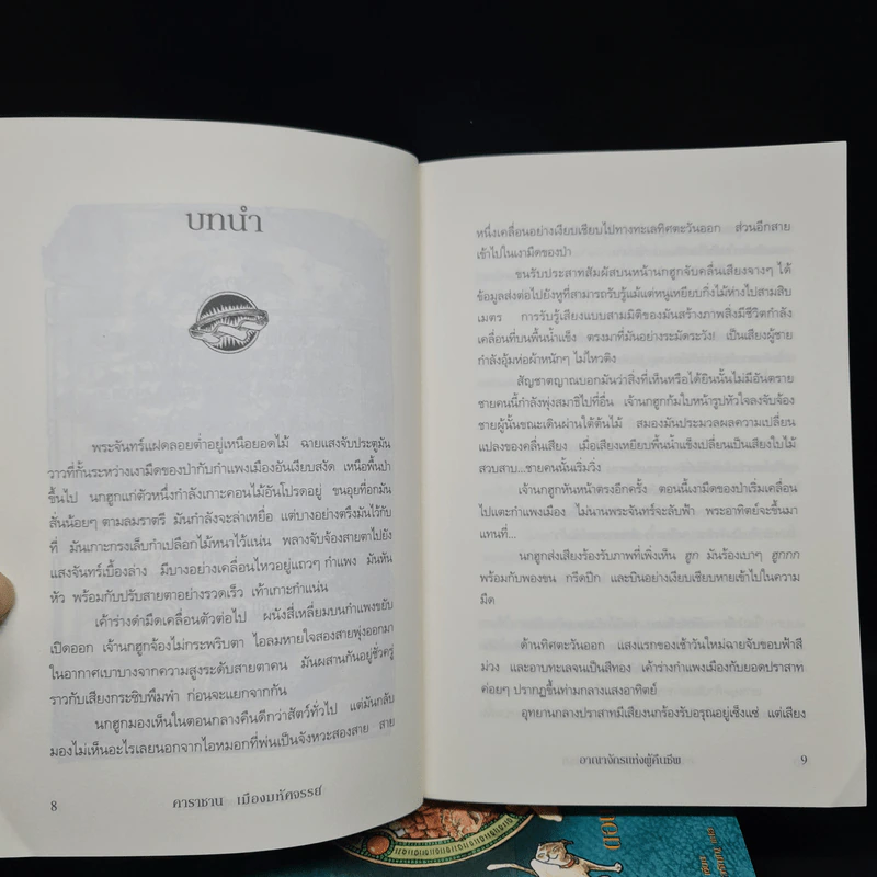 คาราซาน เมืองมหัศจรรย์ 4 เล่มจบ - วี.เอ็ม. โจนส์ รูปที่ 6