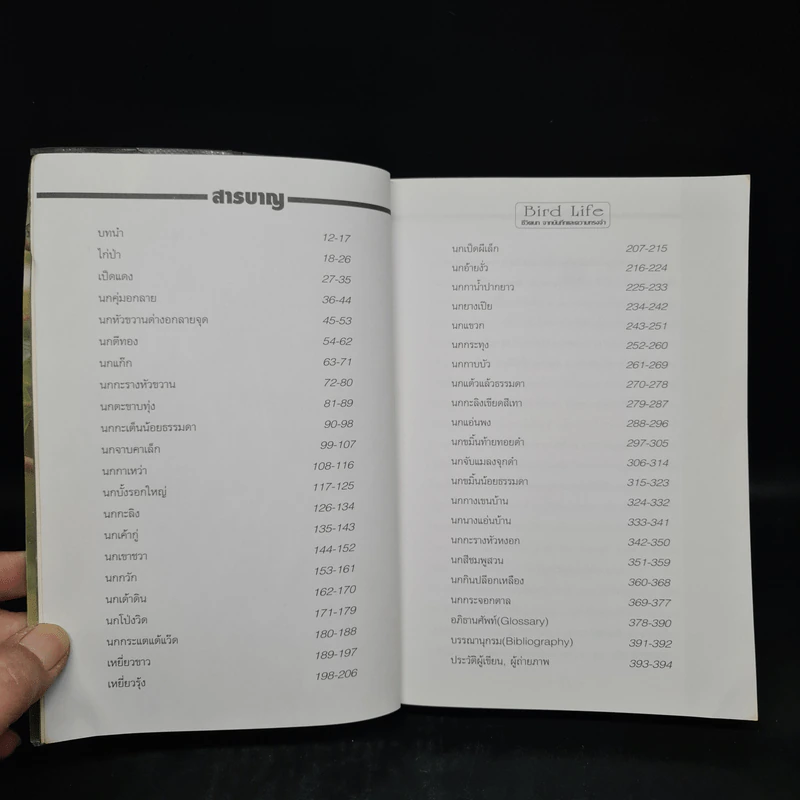 ชีวิตนก จากบันทึกและความทรงจำ Bird Life From Records & Remembrance Vol.1 - สุธี ศุภรัฐวิกร รูปที่ 6
