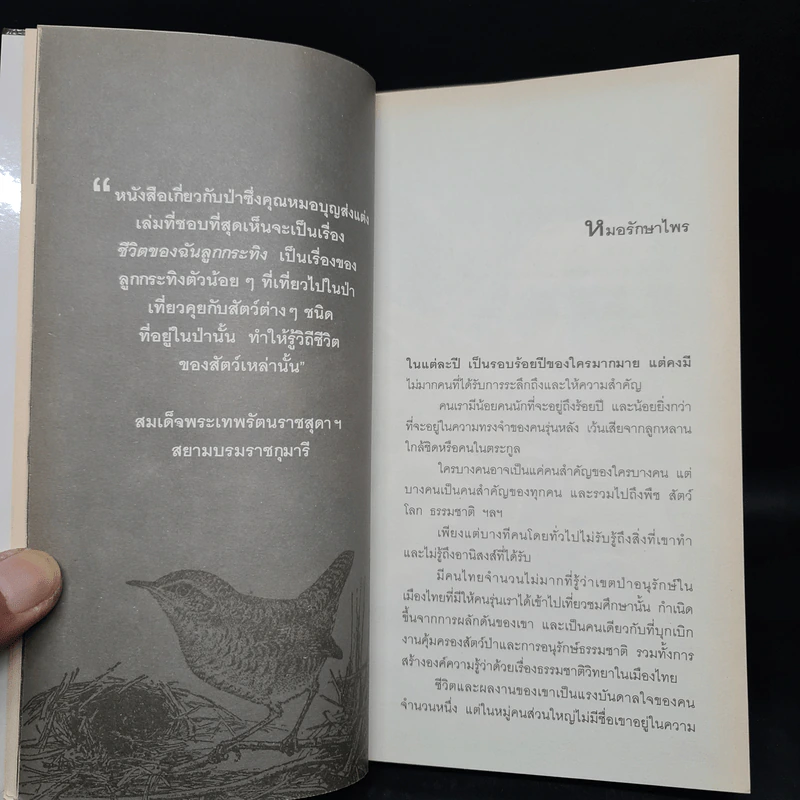 นักรักษ์ไพร - วีระศักดิ์ จันทร์ส่งแสง รูปที่ 6
