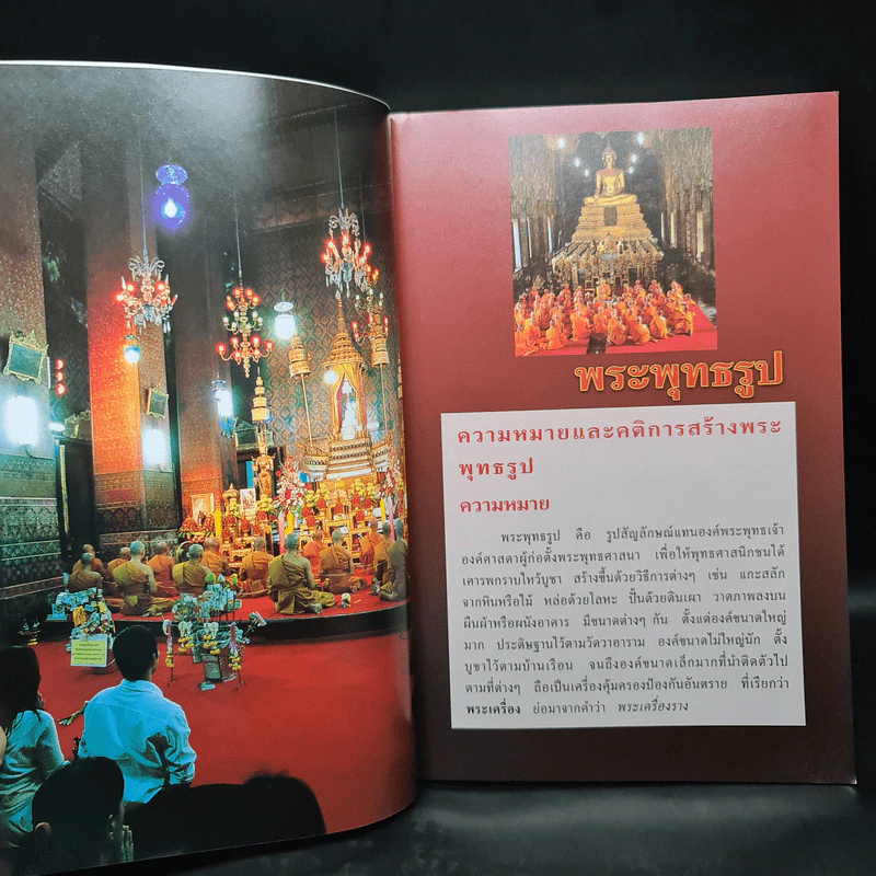 สารานุกรมไทยสำหรับเยาวชน ฉบับเสริมการเรียนรู้ เล่ม 8 รูปที่ 7