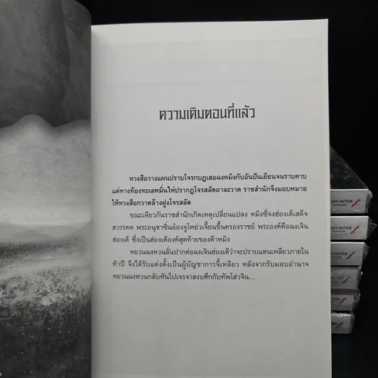 จอมทัพพลิกแผ่นดิน 7 เล่มจบ - น.นพรัตน์ รูปที่ 8