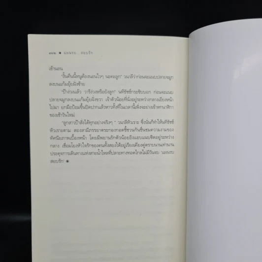 นิยายชุด ตรงนี้ที่รัก 3 เล่ม นี่ไงใช่รัก+ไม่สิ้นสุดรัก+แผนรบสยบรัก - เมญาณี รูปที่ 7