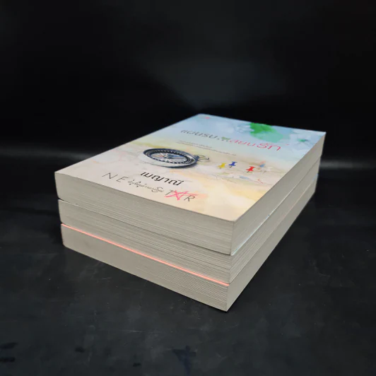 นิยายชุด ตรงนี้ที่รัก 3 เล่ม นี่ไงใช่รัก+ไม่สิ้นสุดรัก+แผนรบสยบรัก - เมญาณี รูปที่ 3