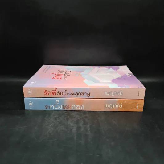 SET รักติดโปร 2 เล่ม รักพี่วันนี้แถมฟรีลูกชาย + รักหนึ่งได้ถึงสอง - เมญาณี รูปที่ 3