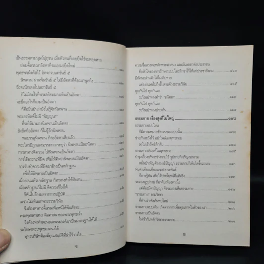 กรณีธรรมกาย - พระพรหมคุณาภรณ์ (ป.อ. ปยุตฺโต) รูปที่ 8