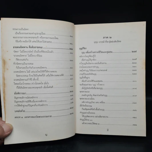 กรณีธรรมกาย - พระพรหมคุณาภรณ์ (ป.อ. ปยุตฺโต) รูปที่ 9