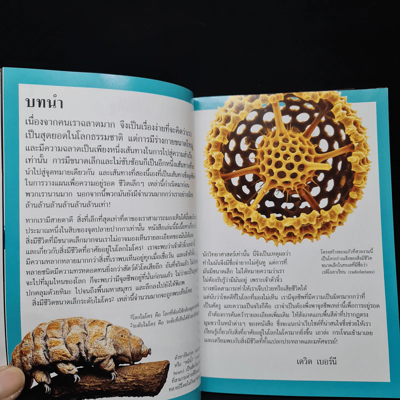 Megabites โลกใบจิ๋วของจุลชีพ - David Burnie, เดวิด เบอร์นี รูปที่ 6