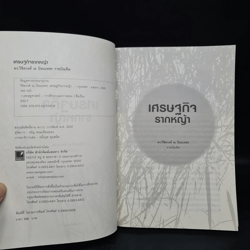 เศรษฐกิจรากหญ้า - ดร.วิชิตวงศ์ ณ ป้อมเพชร รูปที่ 5