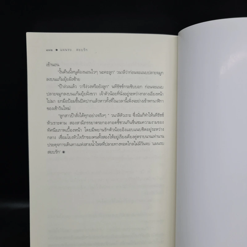 นิยายชุด ตรงนี้ที่รัก 3 เล่ม นี่ไงใช่รัก+ไม่สิ้นสุดรัก+แผนรบสยบรัก - เมญาณี รูปที่ 7