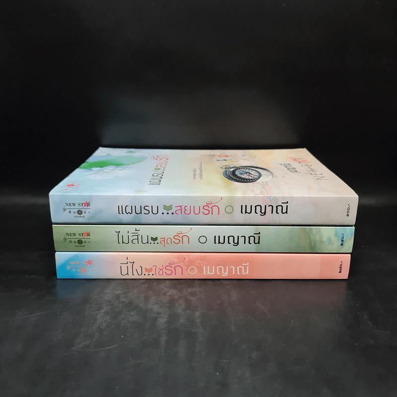นิยายชุด ตรงนี้ที่รัก 3 เล่ม นี่ไงใช่รัก+ไม่สิ้นสุดรัก+แผนรบสยบรัก - เมญาณี รูปที่ 2