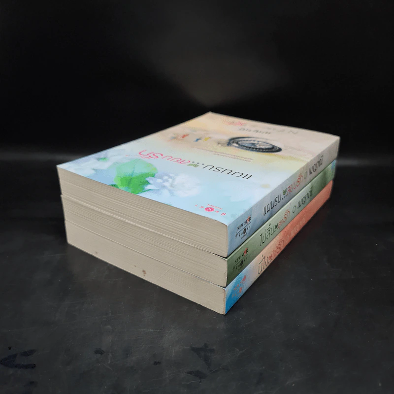 นิยายชุด ตรงนี้ที่รัก 3 เล่ม นี่ไงใช่รัก+ไม่สิ้นสุดรัก+แผนรบสยบรัก - เมญาณี รูปที่ 4