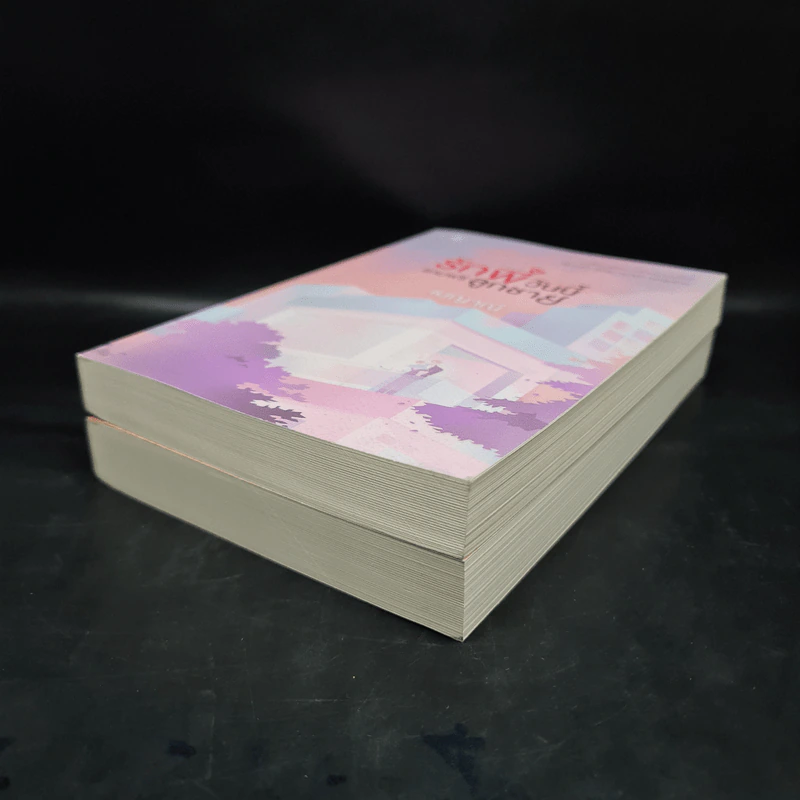 SET รักติดโปร 2 เล่ม รักพี่วันนี้แถมฟรีลูกชาย + รักหนึ่งได้ถึงสอง - เมญาณี รูปที่ 4