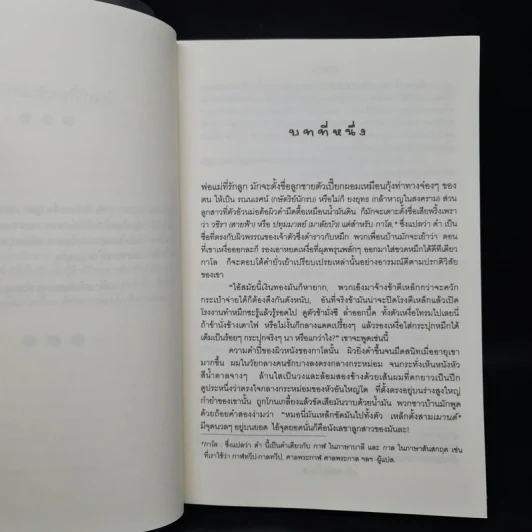 คนขี่เสือ - ภวาณี ภัฏฏาจารย์, จิตร ภูมิศักดิ์ รูปที่ 6