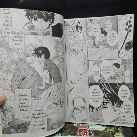การ์ตูนวาย SUPER LOVERS สุดที่รัก เล่ม 1-9 รูปที่ 6