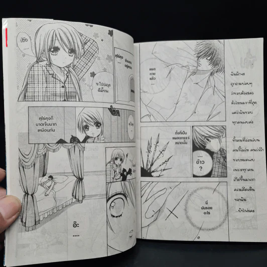 Love Monster 12 เล่มจบ รูปที่ 7