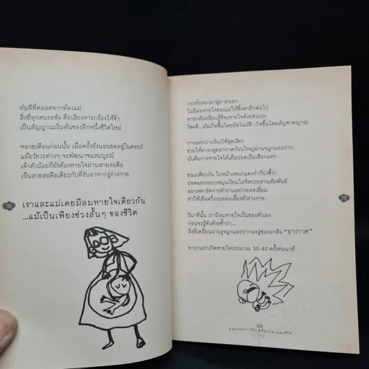 ธาตุสี่ในทุกสิ่ง : ลม พลังแห่งการขับเคลื่อนโลกและชีวิต - ฐิตินันท์ ศรีสถิต รูปที่ 7