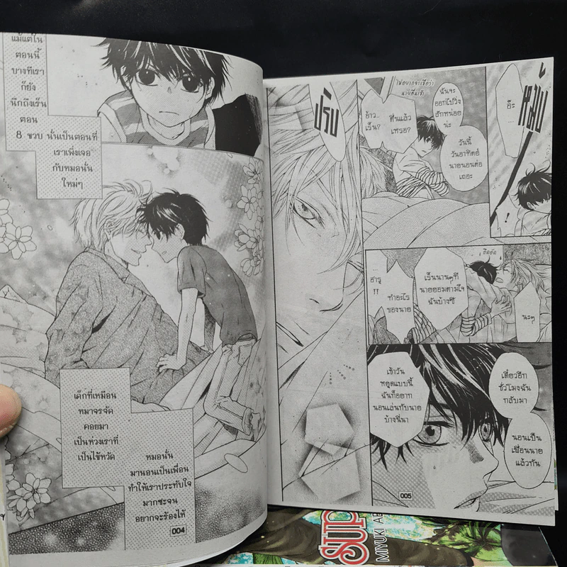 การ์ตูนวาย SUPER LOVERS สุดที่รัก เล่ม 1-9 รูปที่ 6