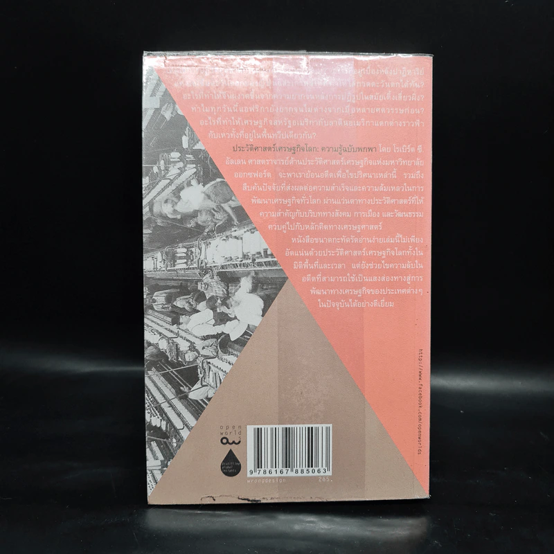 ประวัติศาสตร์เศรษฐกิจโลก : ความรู้ฉบับพกพา - Robert C. Allen รูปที่ 2