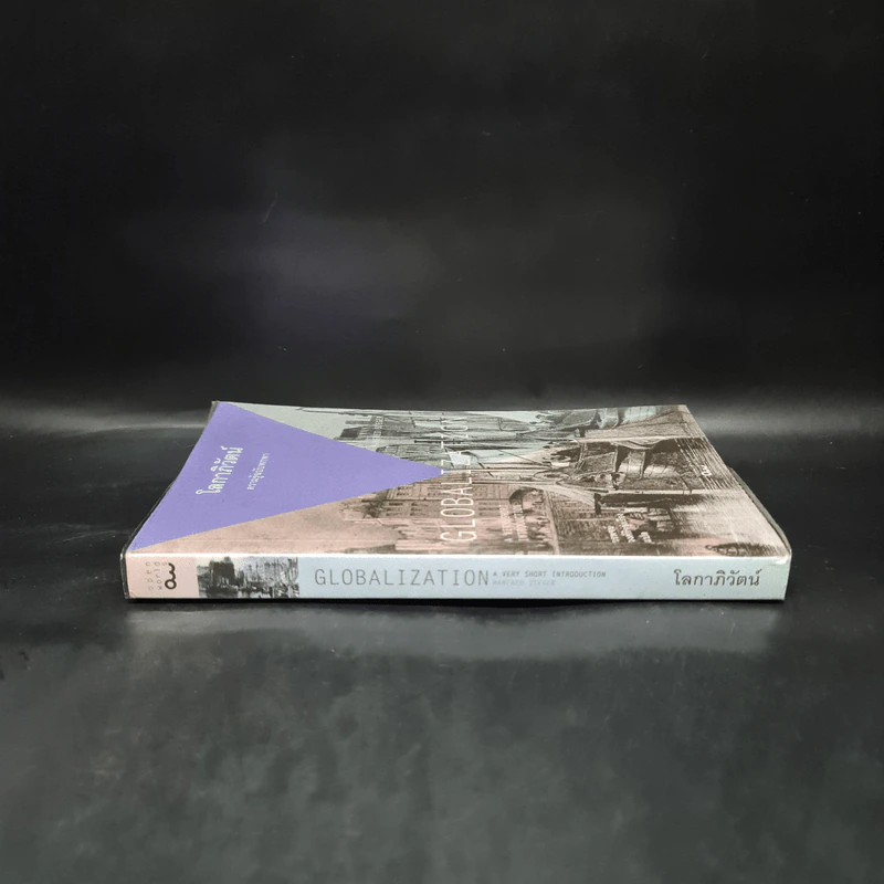 โลกาภิวัตน์ : ความรู้ฉบับพกพา - Manfred B. Steger (แมนเฟร็ด บี. สเตเกอร์) รูปที่ 3