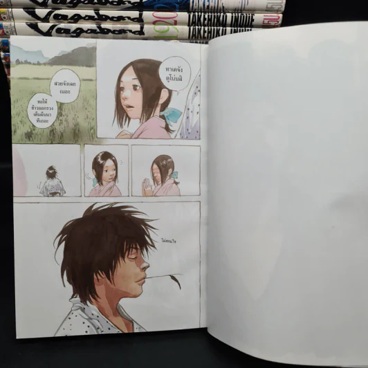 Vagabond เล่ม 1-37 รูปที่ 6