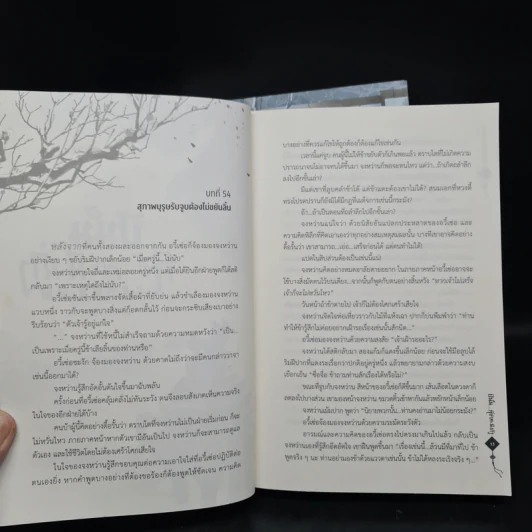 นิยายวาย ปีนั้น...ที่ข้าคะนึงถึง 2 เล่มจบ - Man Man He Qi Duo รูปที่ 6