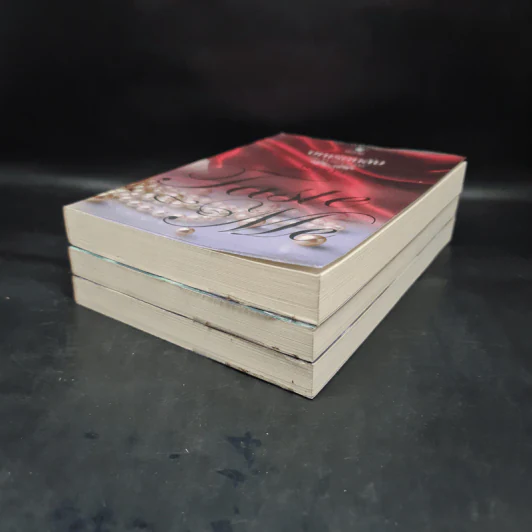 นิยายชุด Taste Me 3 เล่ม สื่อรักกับดักหัวใจ+บทเรียนลับคลับชั้นสูง+ทดสอบรักกระตุ้นอารมณ์ รูปที่ 3