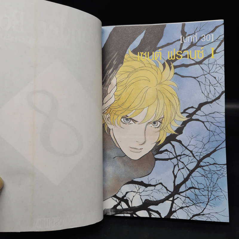 A Wonder Boy หนุ่มน้อยทะลุมิติ เล่ม 1-8 รูปที่ 6