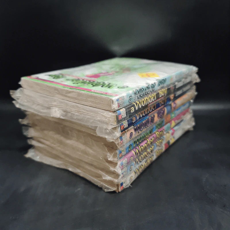 A Wonder Boy หนุ่มน้อยทะลุมิติ เล่ม 1-8 รูปที่ 4