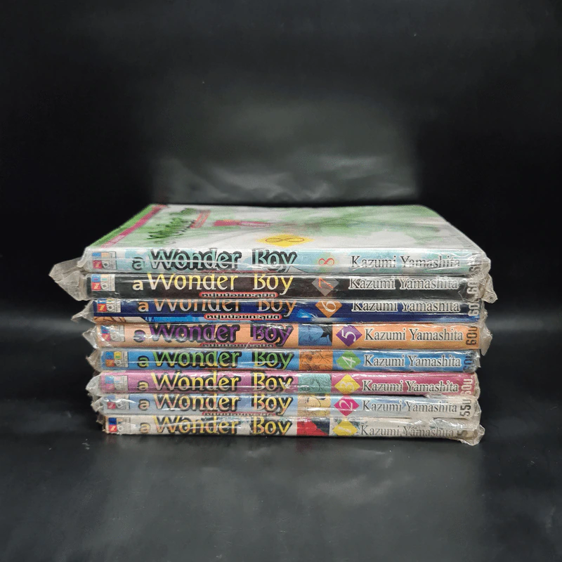 A Wonder Boy หนุ่มน้อยทะลุมิติ เล่ม 1-8 รูปที่ 2