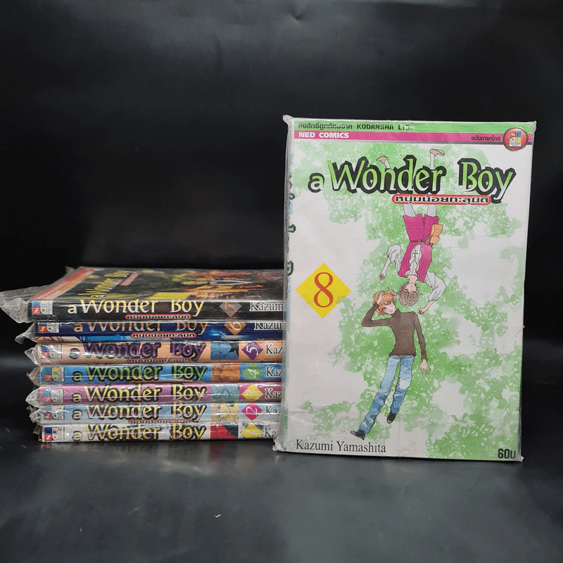 A Wonder Boy หนุ่มน้อยทะลุมิติ เล่ม 1-8 รูปที่ 1