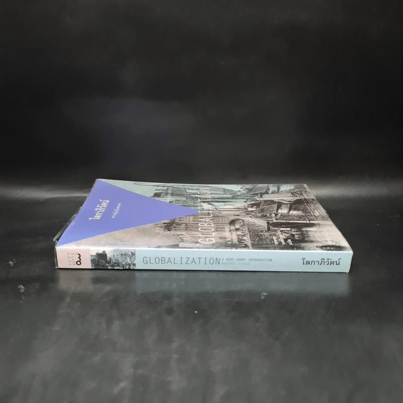 โลกาภิวัตน์ : ความรู้ฉบับพกพา - Manfred B. Steger รูปที่ 3