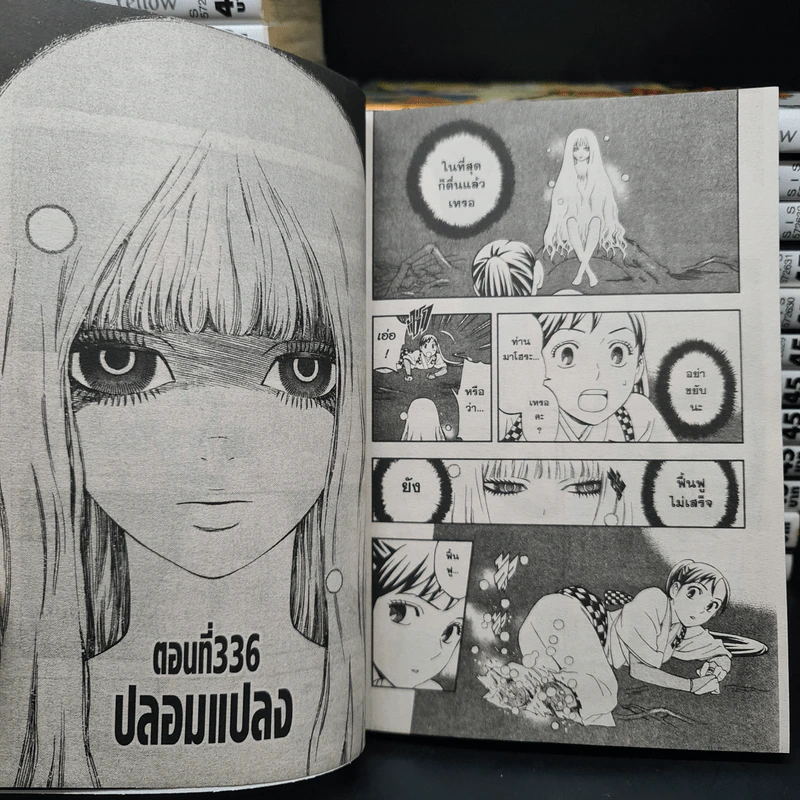 ผู้ผนึกมาร 35 เล่มจบ รูปที่ 8