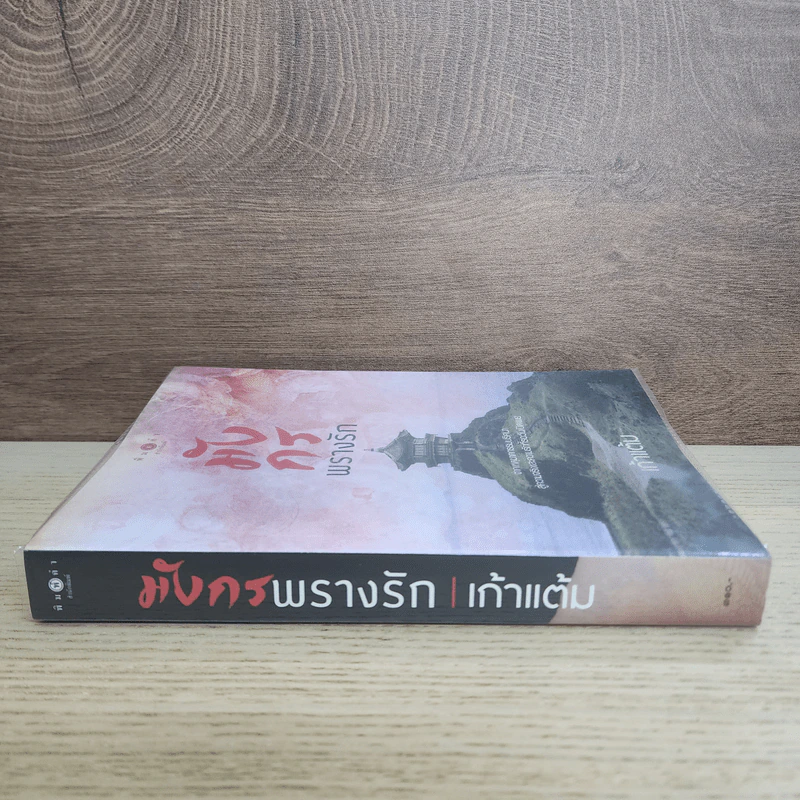 มังกรพรางรัก - เก้าแต้ม รูปที่ 2