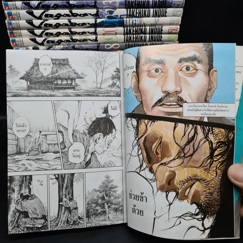 Vagabond เล่ม 1-37 รูปที่ 7