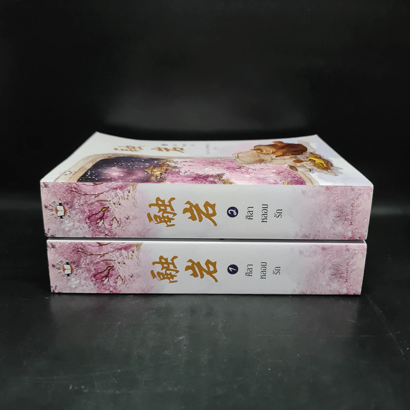 นิยายแจ่มใส ศิลาหลอมรัก 2 เล่มจบ - หมิงเยวี่ยทิงเฟิง รูปที่ 2