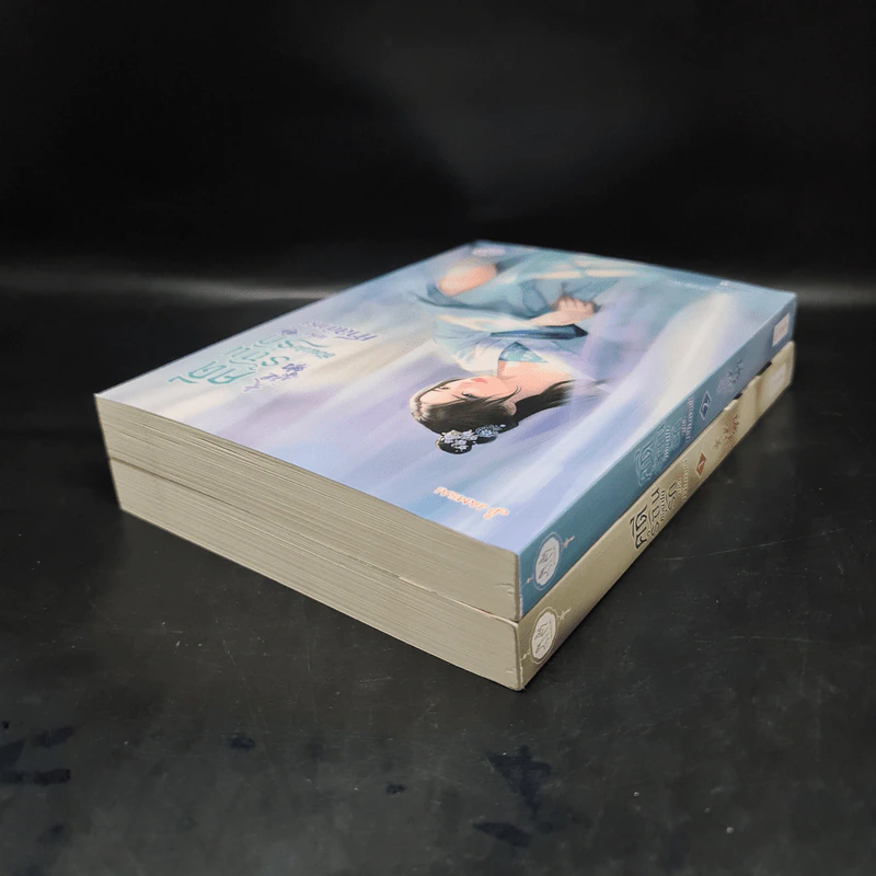 คดีร้อนซ่อนปมรักแห่งศาลต้าหลี่ เล่ม 1-2 - Anyway รูปที่ 4