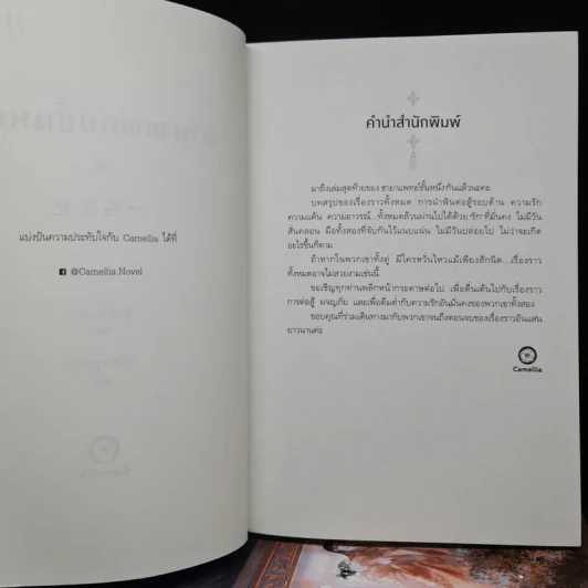 ชายาแพทย์ขั้นหนึ่ง 4 เล่มจบ - ชิงอวิ๋นเช่อ รูปที่ 5