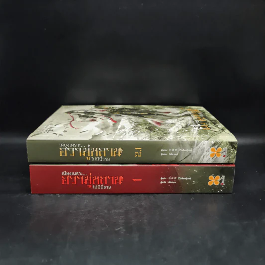 เพียงเพราะ...ฮวามู่หลานไม่มีพี่ชาย เล่ม 1+2.1 - Qidaojun รูปที่ 2