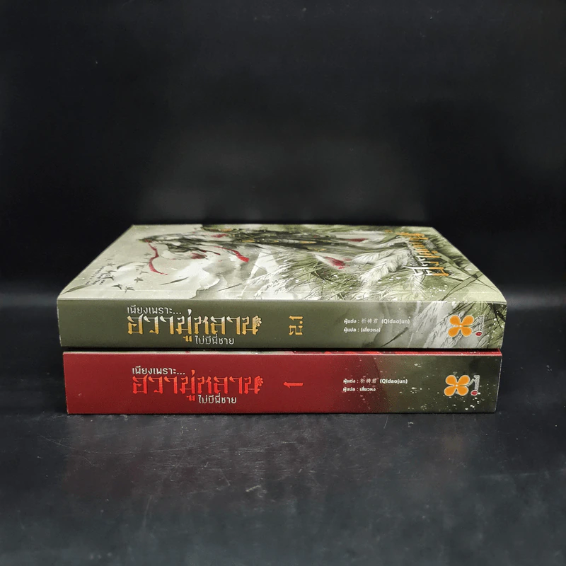 เพียงเพราะ...ฮวามู่หลานไม่มีพี่ชาย เล่ม 1+2.1 - Qidaojun รูปที่ 2