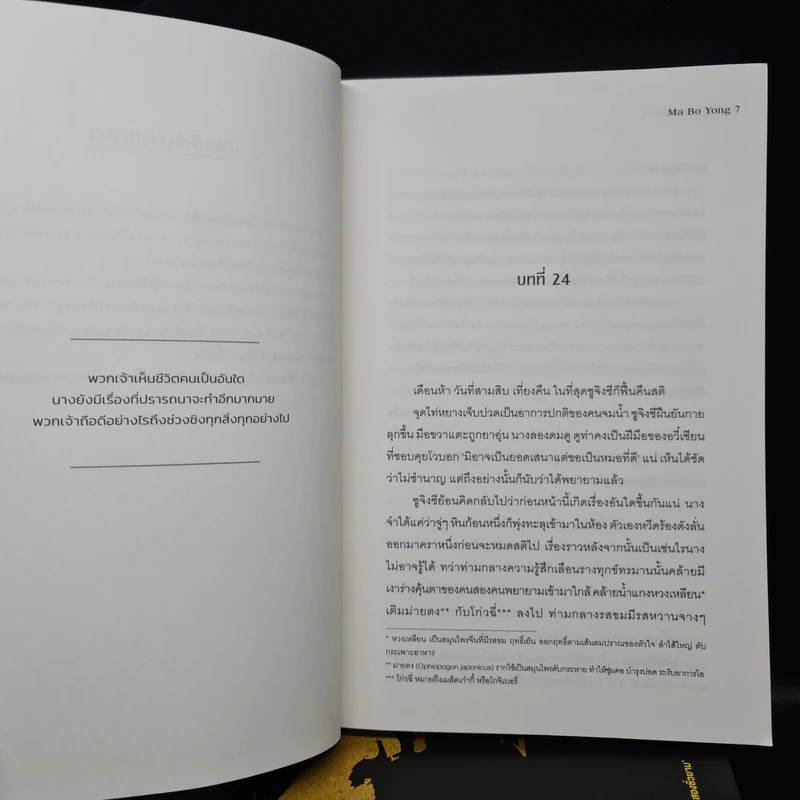 สองนครสิบห้าวัน 4 เล่มจบ - Ma Bo Yong (หม่าป๋อยง) รูปที่ 5