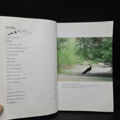 หลังเลนส์ในดงลึก - ม.ล.ปริญญากร วรวรรณ รูปที่ 7