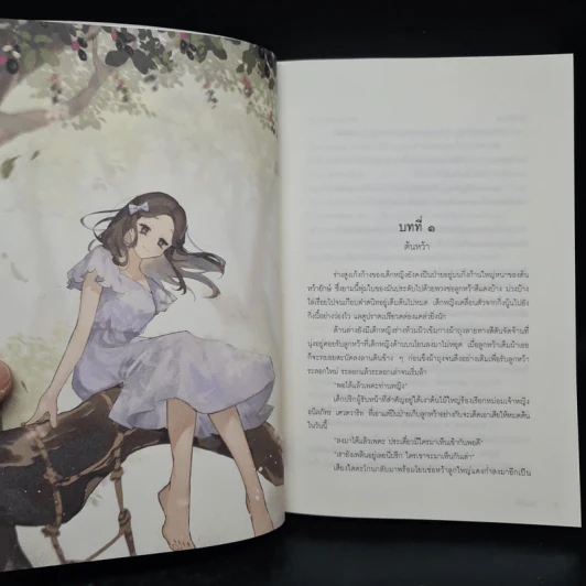 Box Set ปิ่นภักดิ์ 2 เล่มจบ - ม่อนแมว รูปที่ 9