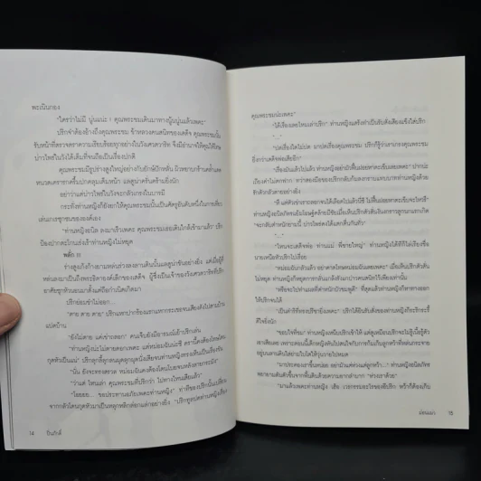 Box Set ปิ่นภักดิ์ 2 เล่มจบ - ม่อนแมว รูปที่ 10