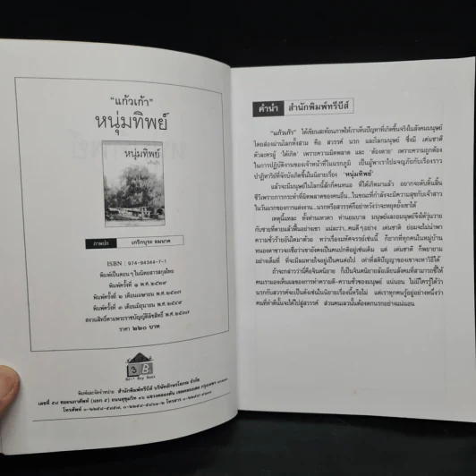 หนุ่มทิพย์ - แก้วเก้า รูปที่ 5