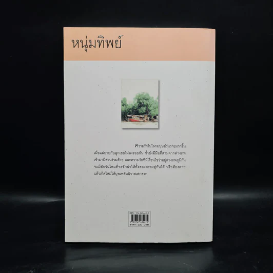 หนุ่มทิพย์ - แก้วเก้า รูปที่ 2