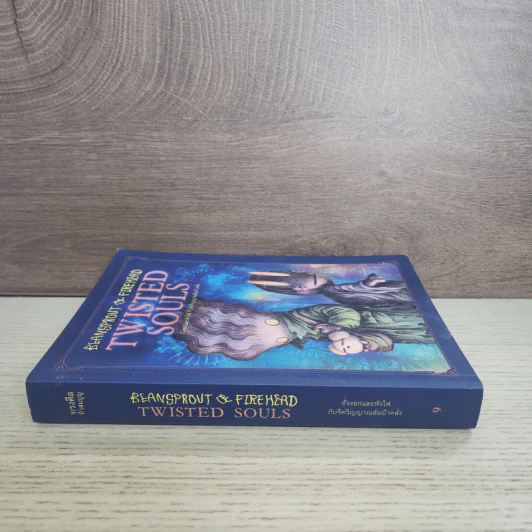 Beansprout & Firehead Twisted Souls ถั่วงอกและหัวไฟ กับจิตวิญญานอันบ้าคลั่ง เล่ม 9 - ทรงศีล ทิวสมบุญ รูปที่ 2