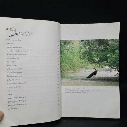 หลังเลนส์ในดงลึก - ม.ล.ปริญญากร วรวรรณ รูปที่ 7